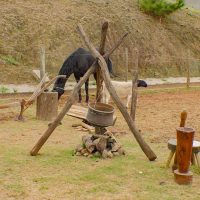 O Castelo Medieval em São Roque